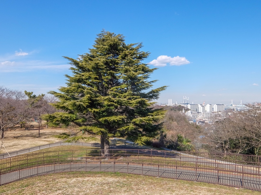 f:id:saetta0404:20170215223139j:plain