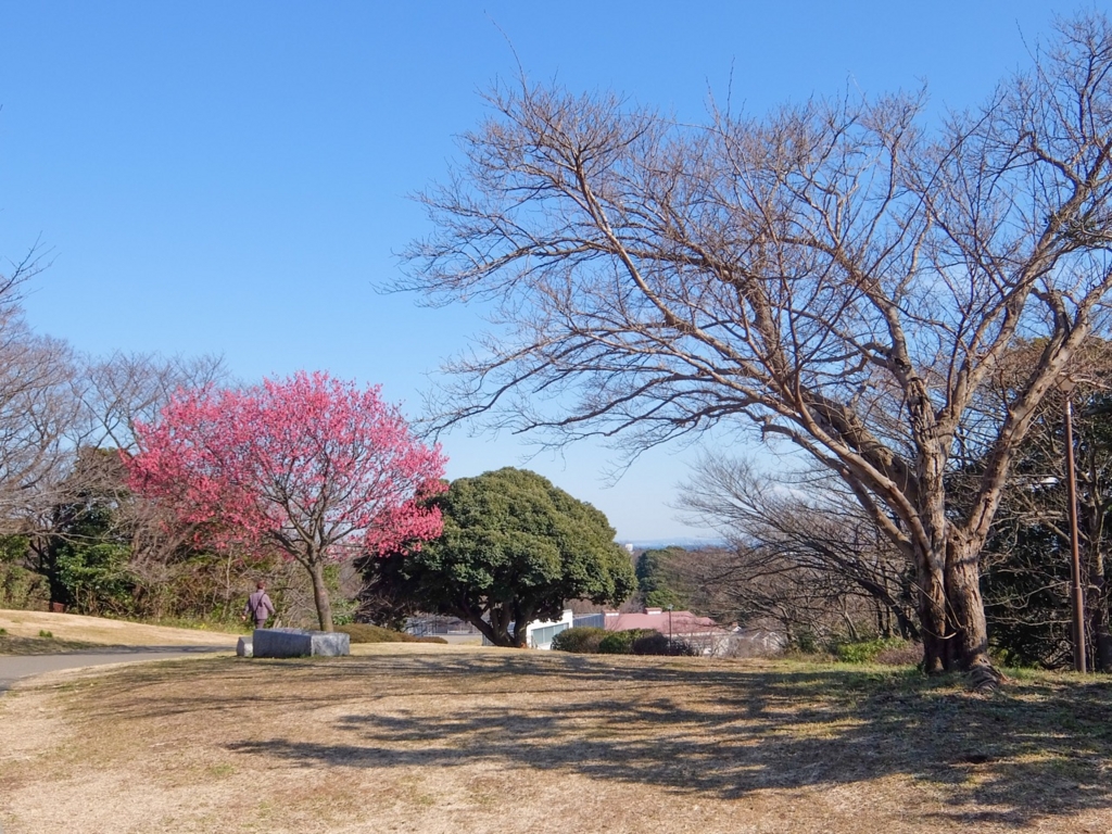 f:id:saetta0404:20170215223158j:plain