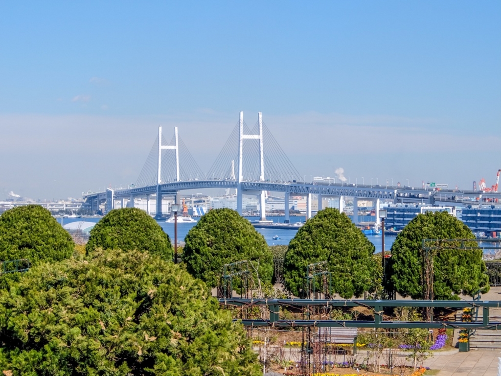 f:id:saetta0404:20170215223828j:plain