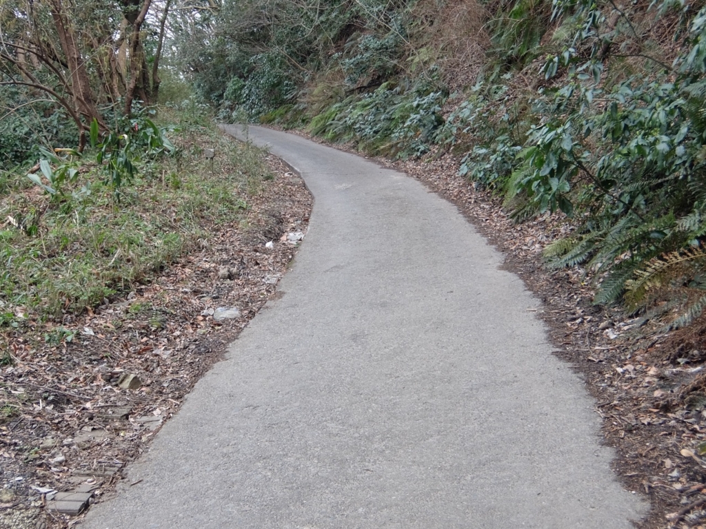 f:id:saetta0404:20170306231313j:plain f:id:saetta0404:20170306231313j:plain