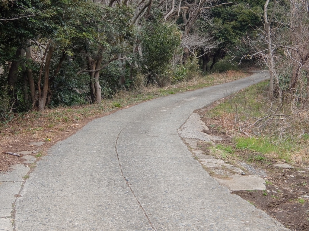 f:id:saetta0404:20170306231346j:plain f:id:saetta0404:20170306231346j:plain