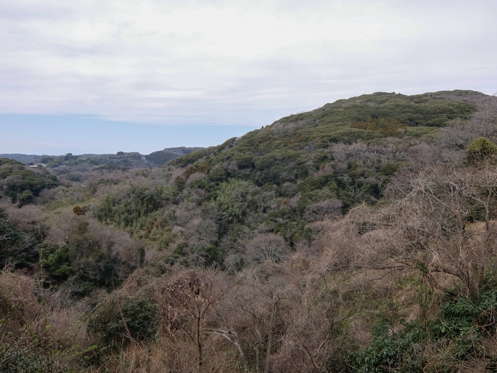 f:id:saetta0404:20170306231438j:plain f:id:saetta0404:20170306231438j:plain