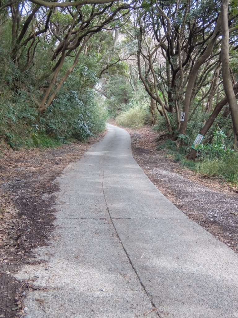 f:id:saetta0404:20170306231601j:plain f:id:saetta0404:20170306231601j:plain