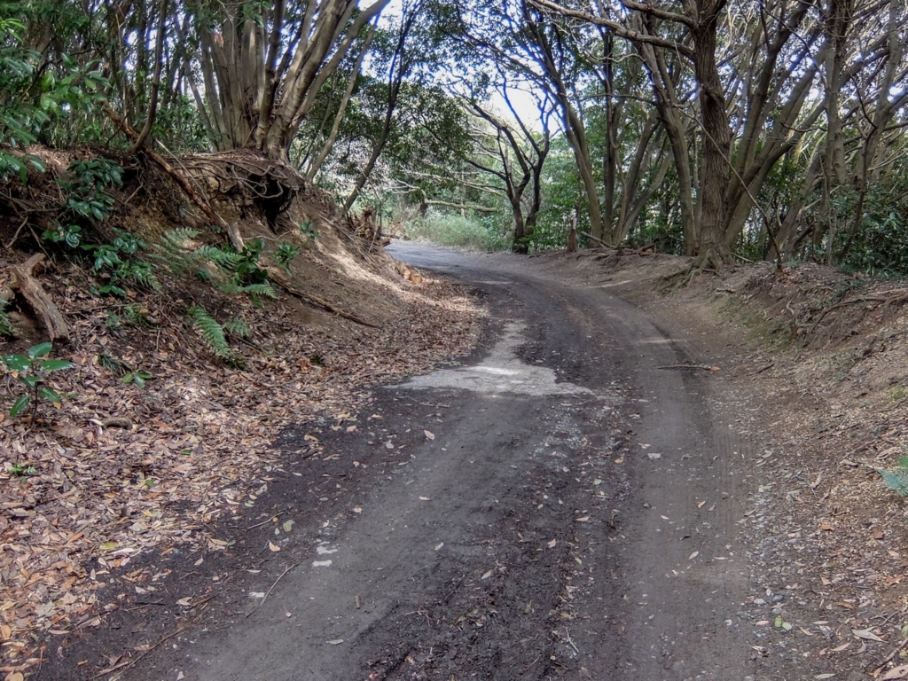 f:id:saetta0404:20170306231633j:plain f:id:saetta0404:20170306231633j:plain