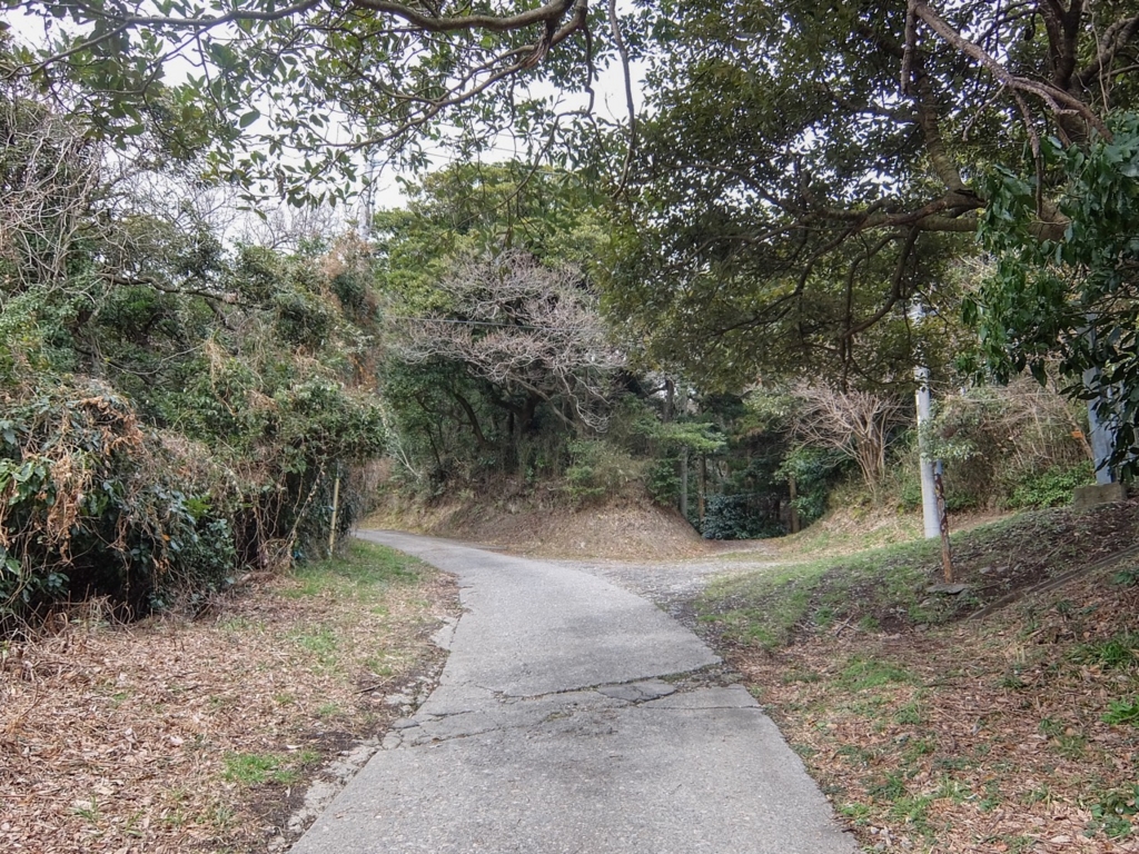 f:id:saetta0404:20170306231652j:plain f:id:saetta0404:20170306231652j:plain