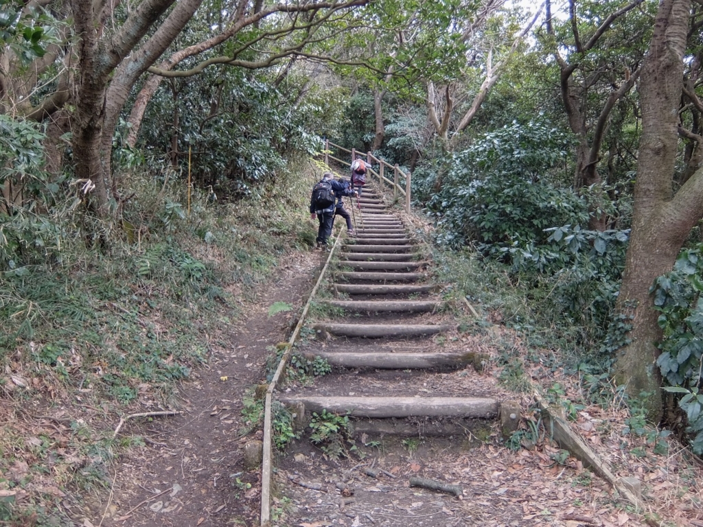 f:id:saetta0404:20170306231842j:plain f:id:saetta0404:20170306231842j:plain