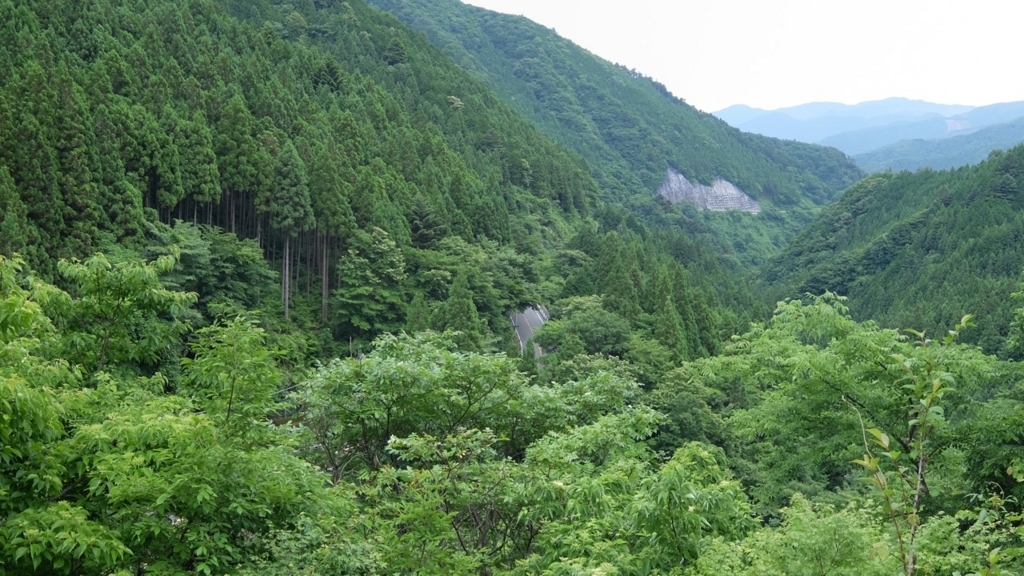 f:id:saetta0404:20170703195746j:plain