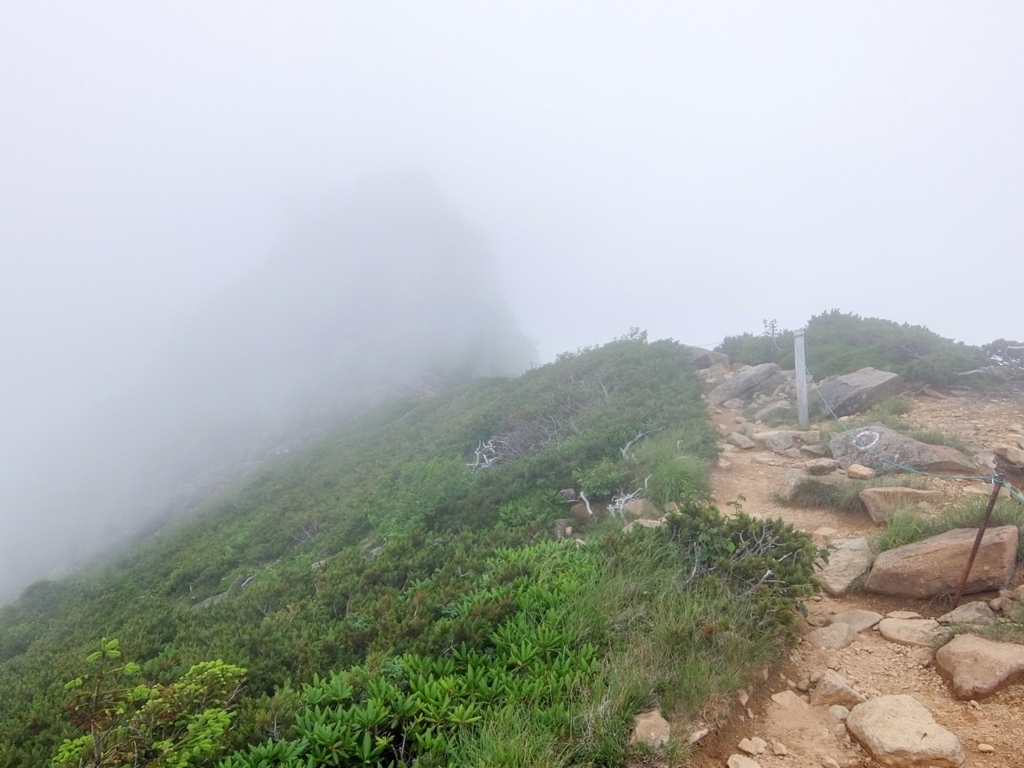f:id:saetta0404:20170803225722j:plain f:id:saetta0404:20170803225722j:plain