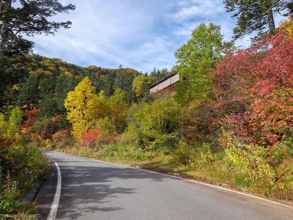 f:id:saetta0404:20171002095354j:plain f:id:saetta0404:20171002095354j:plain