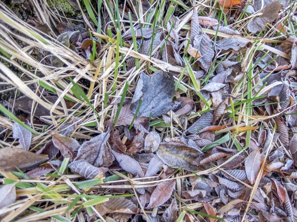 f:id:saetta0404:20171213000043j:plain