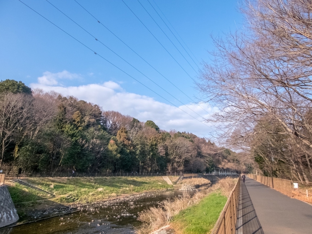 f:id:saetta0404:20180123221915j:plain