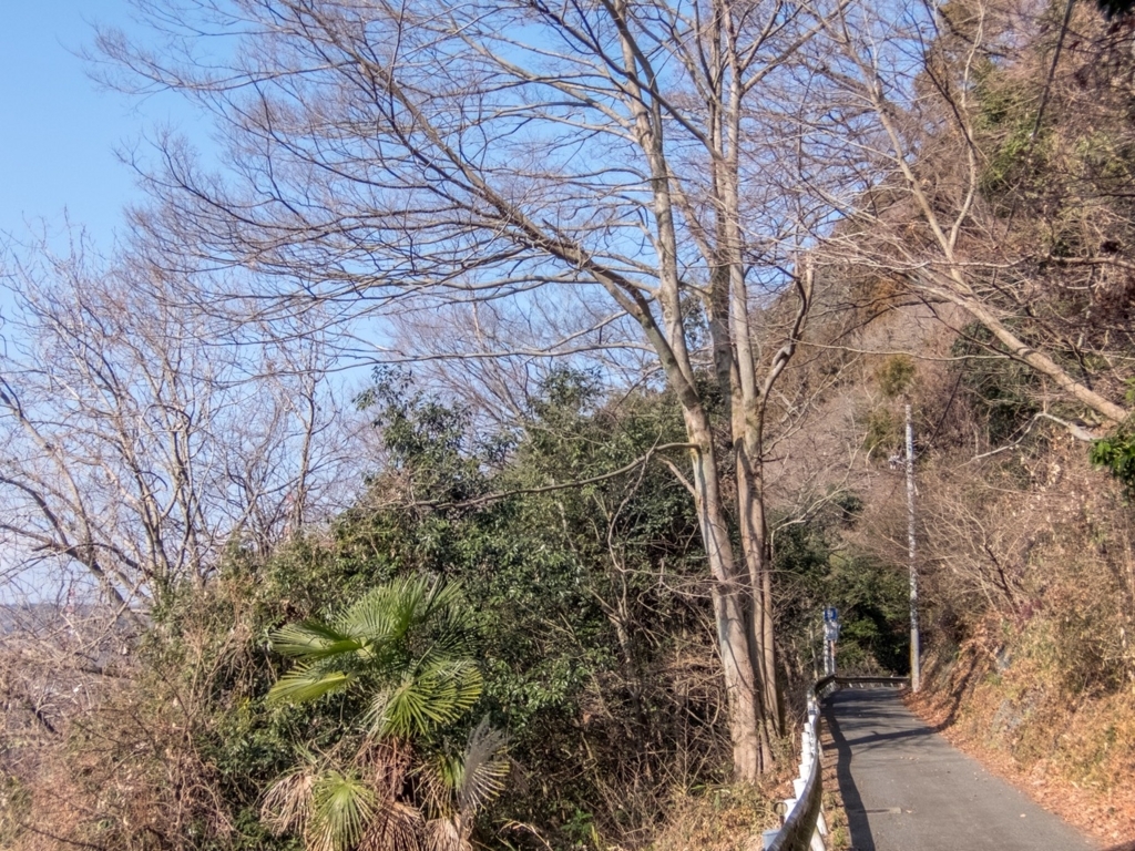 f:id:saetta0404:20180123222136j:plain