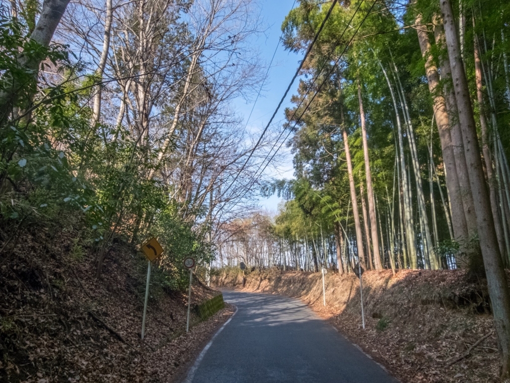 f:id:saetta0404:20180123222426j:plain