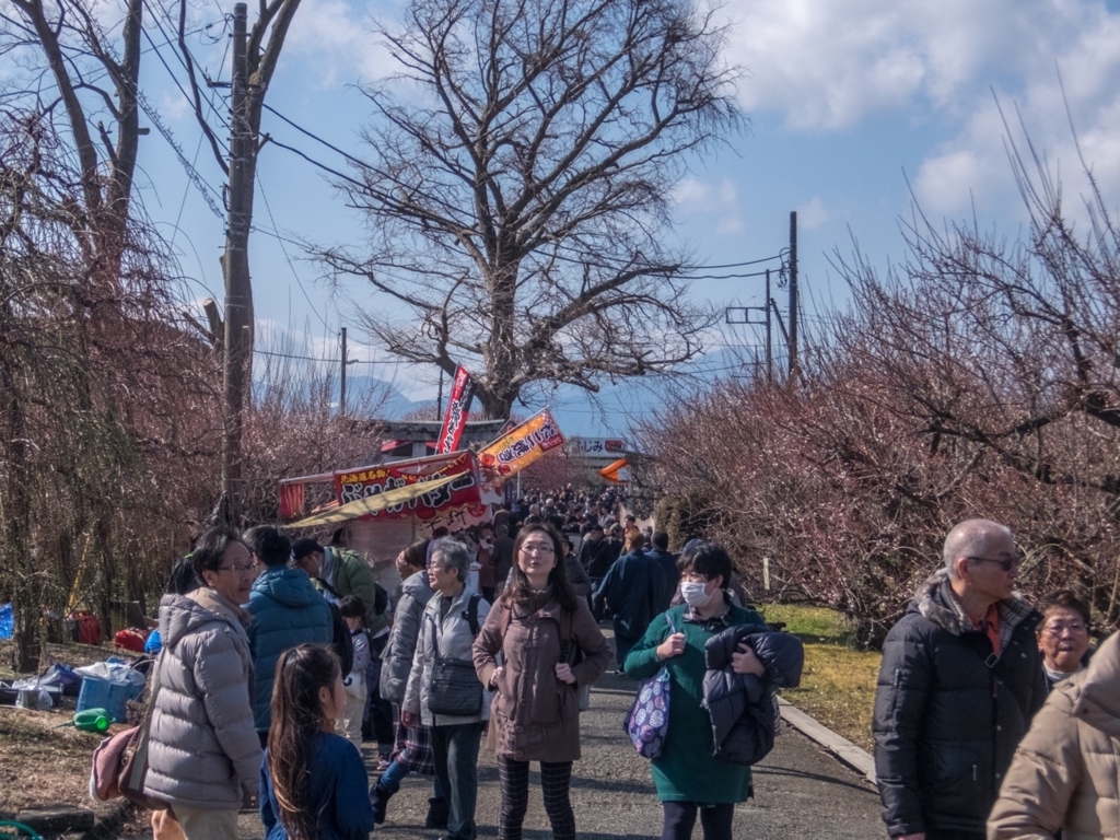 f:id:saetta0404:20180212151831j:plain