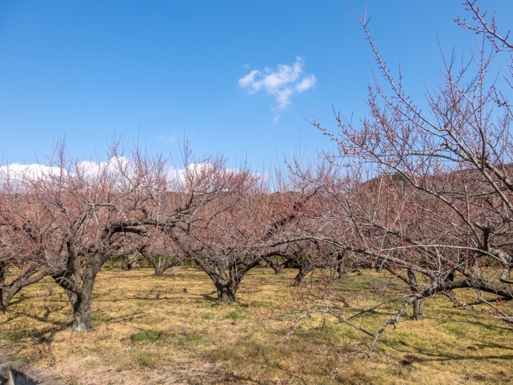 f:id:saetta0404:20180212151853j:plain