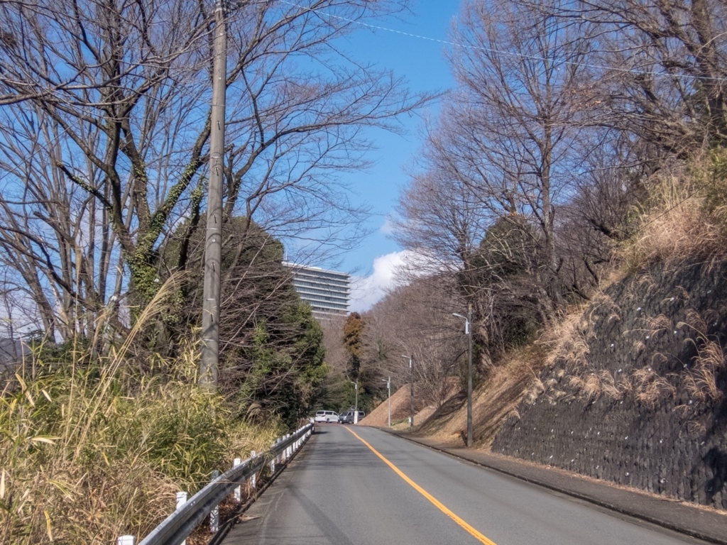 f:id:saetta0404:20180212152034j:plain