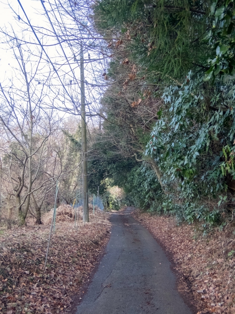 f:id:saetta0404:20180212152216j:plain