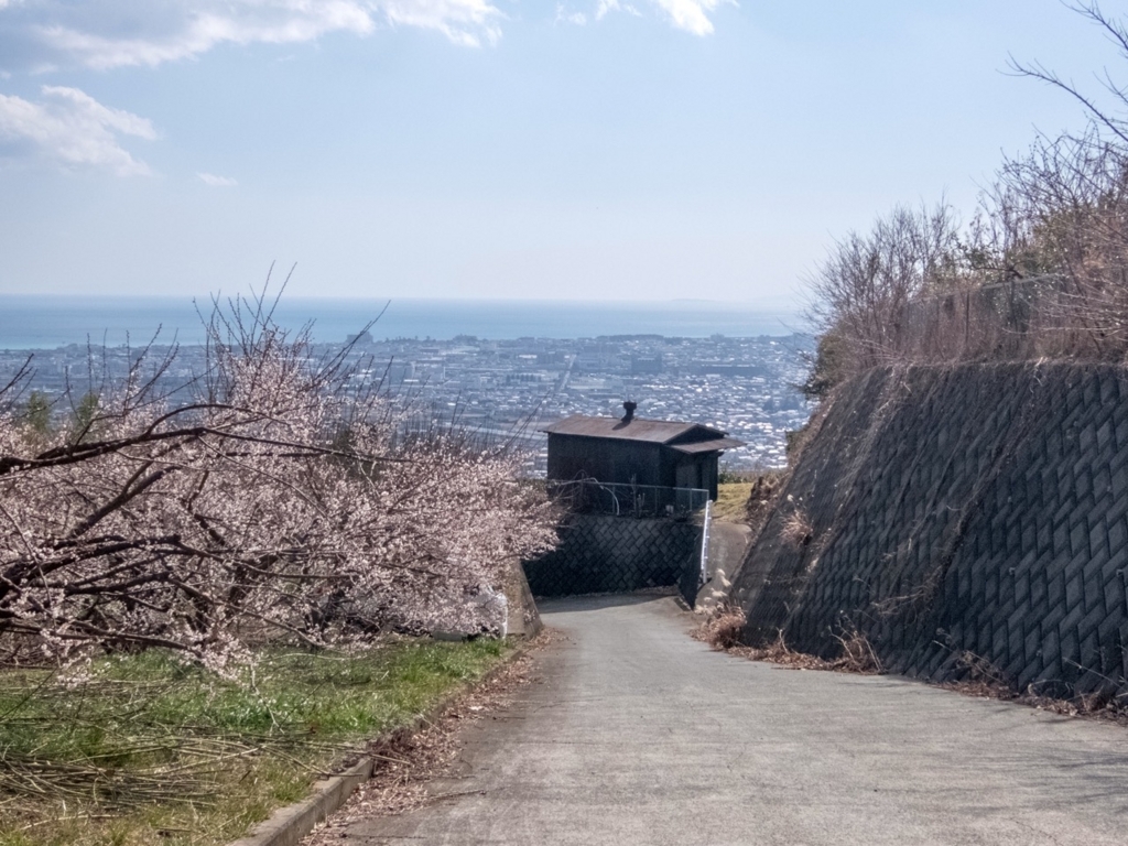 f:id:saetta0404:20180212152408j:plain