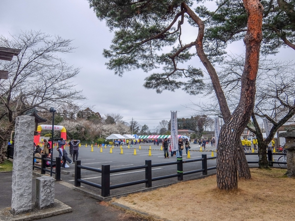 f:id:saetta0404:20180313223657j:plain f:id:saetta0404:20180313223657j:plain