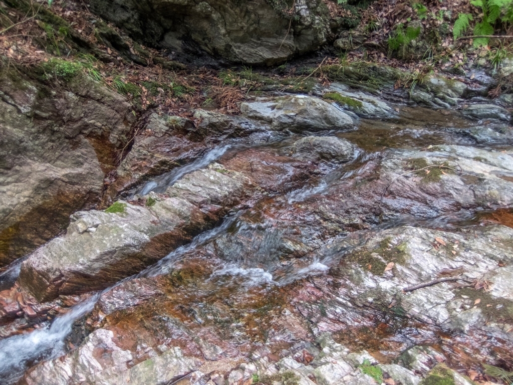 f:id:saetta0404:20180313223838j:plain f:id:saetta0404:20180313223838j:plain