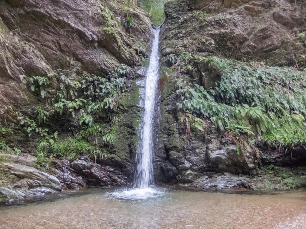 f:id:saetta0404:20180313223923j:plain f:id:saetta0404:20180313223923j:plain