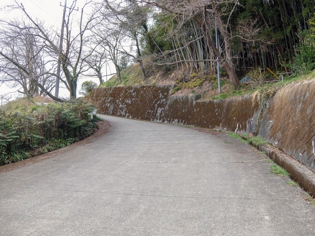 f:id:saetta0404:20180313224222j:plain f:id:saetta0404:20180313224222j:plain