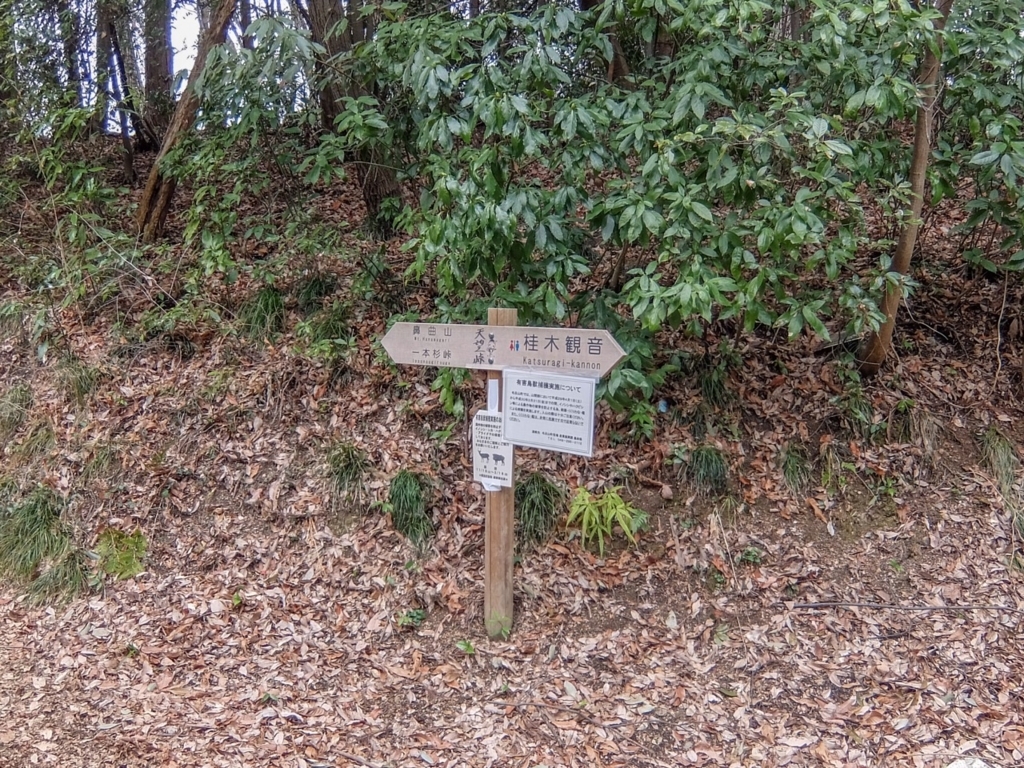 f:id:saetta0404:20180313224400j:plain f:id:saetta0404:20180313224400j:plain