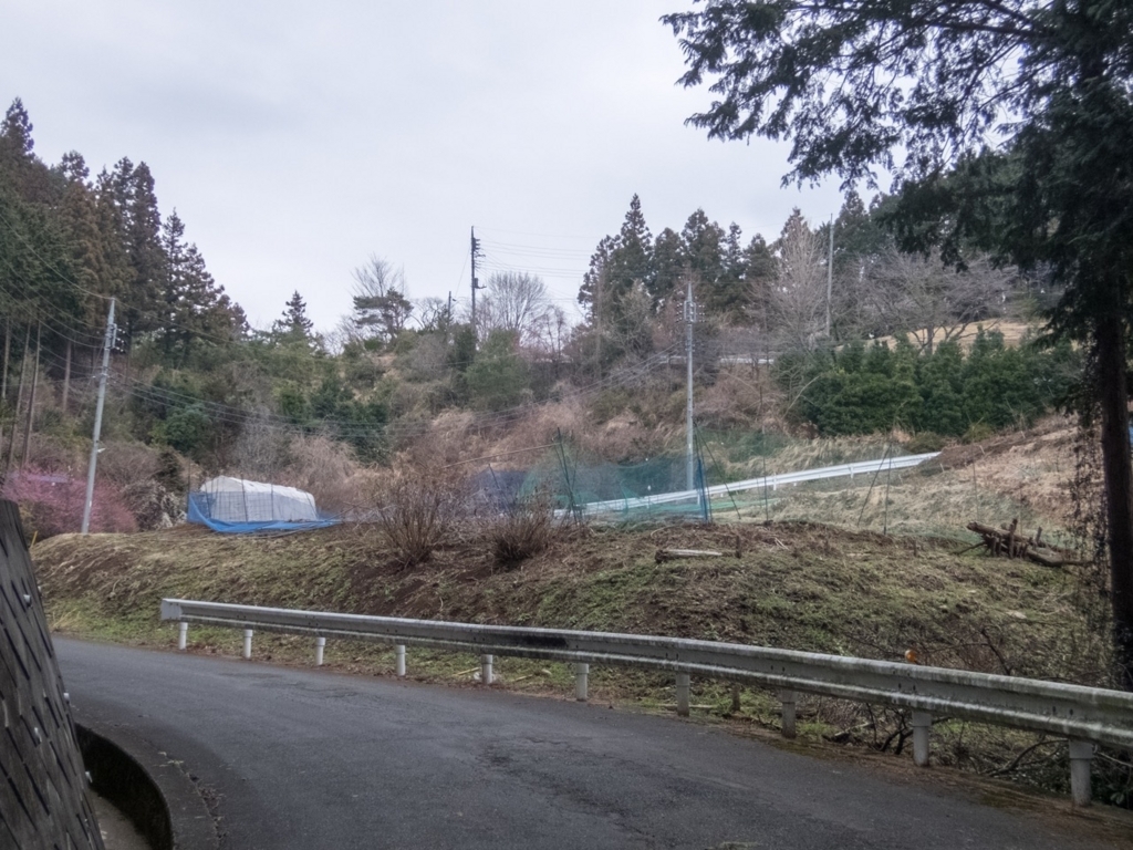 f:id:saetta0404:20180313224900j:plain f:id:saetta0404:20180313224900j:plain