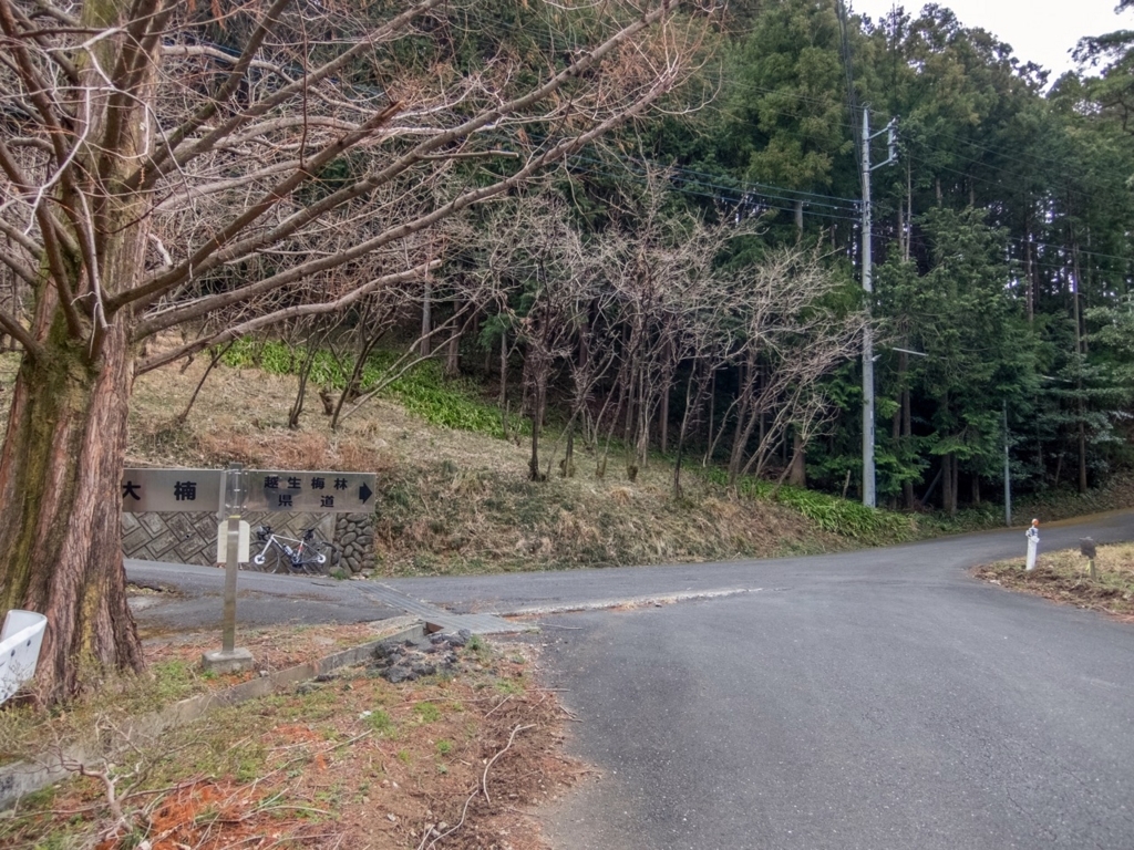 f:id:saetta0404:20180313224928j:plain f:id:saetta0404:20180313224928j:plain