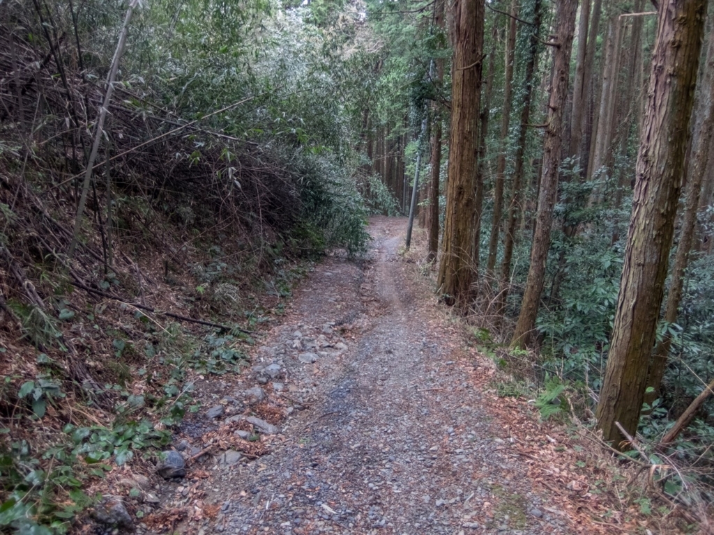 f:id:saetta0404:20180313225042j:plain f:id:saetta0404:20180313225042j:plain