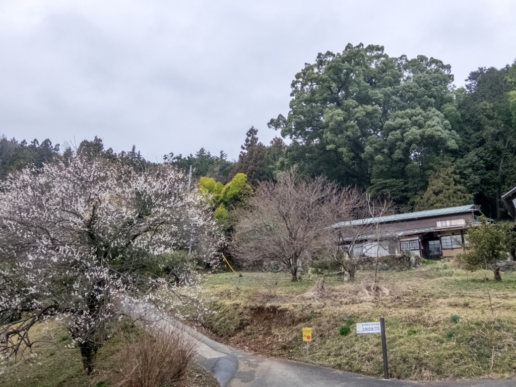 f:id:saetta0404:20180313225158j:plain f:id:saetta0404:20180313225158j:plain