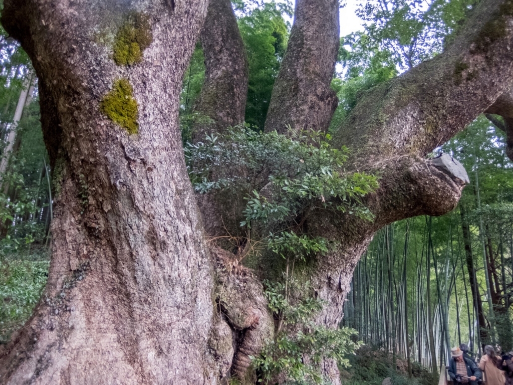 f:id:saetta0404:20180313225245j:plain f:id:saetta0404:20180313225245j:plain