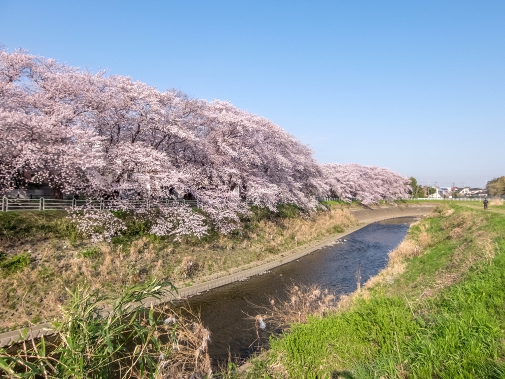 f:id:saetta0404:20180401212958j:plain