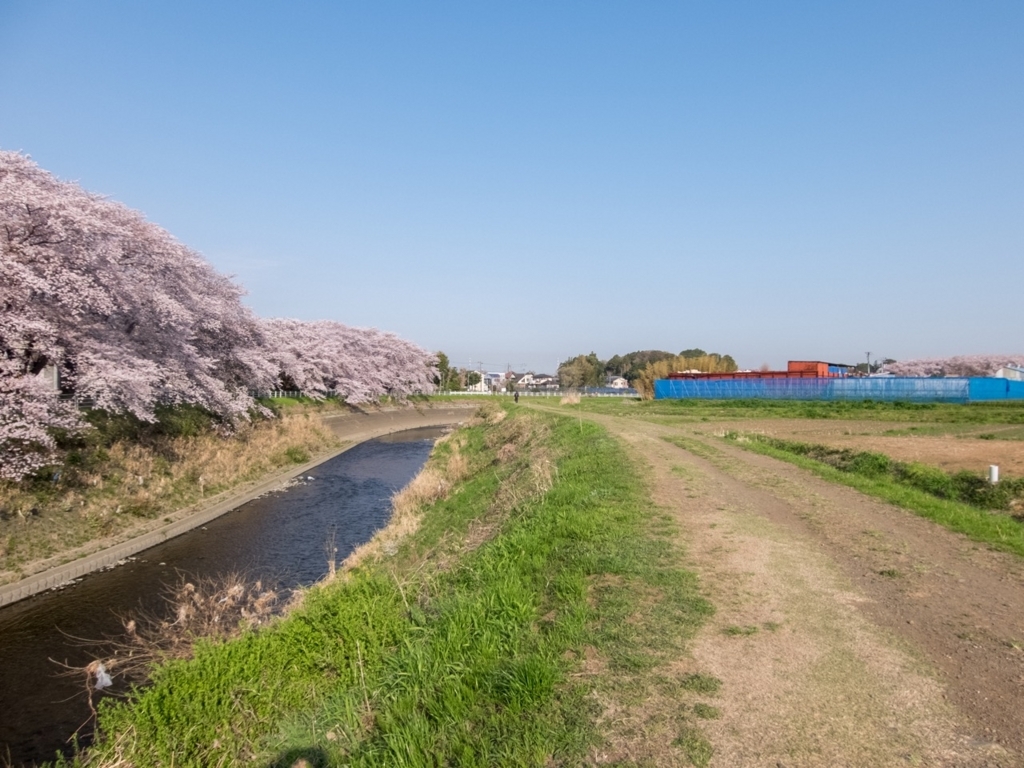 f:id:saetta0404:20180401213018j:plain