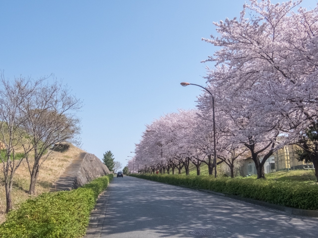 f:id:saetta0404:20180401213108j:plain