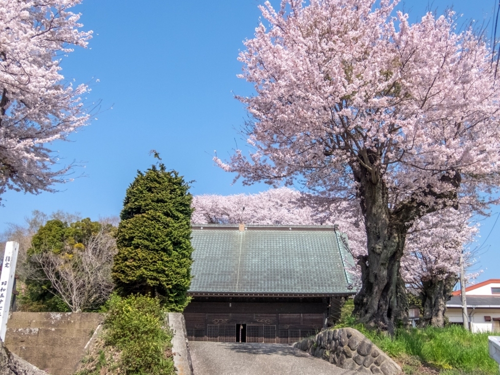 f:id:saetta0404:20180401213132j:plain