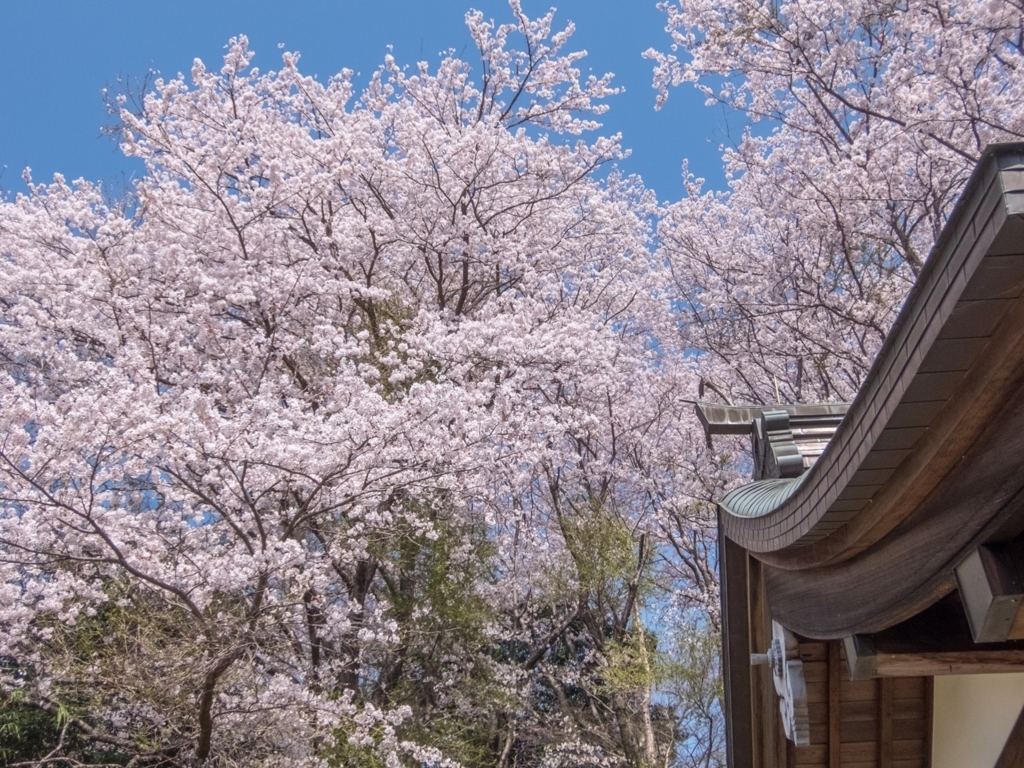 f:id:saetta0404:20180401213149j:plain