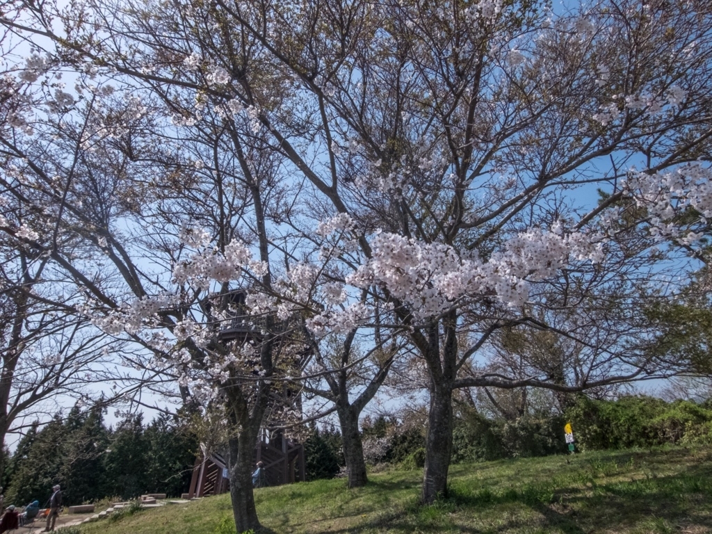 f:id:saetta0404:20180401213654j:plain