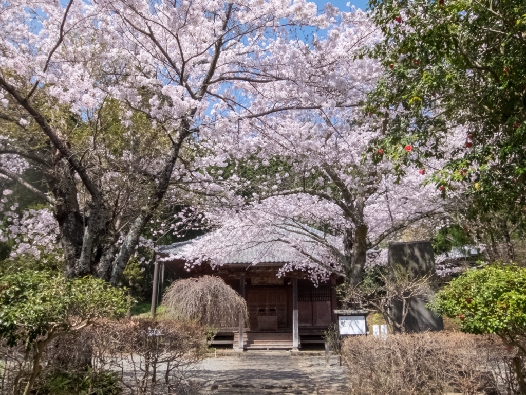 f:id:saetta0404:20180401213716j:plain