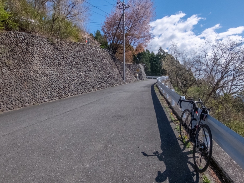 f:id:saetta0404:20180410192315j:plain