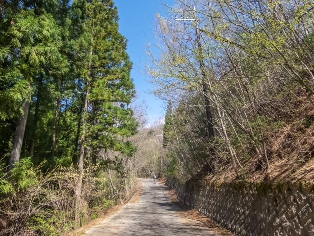 f:id:saetta0404:20180410192520j:plain