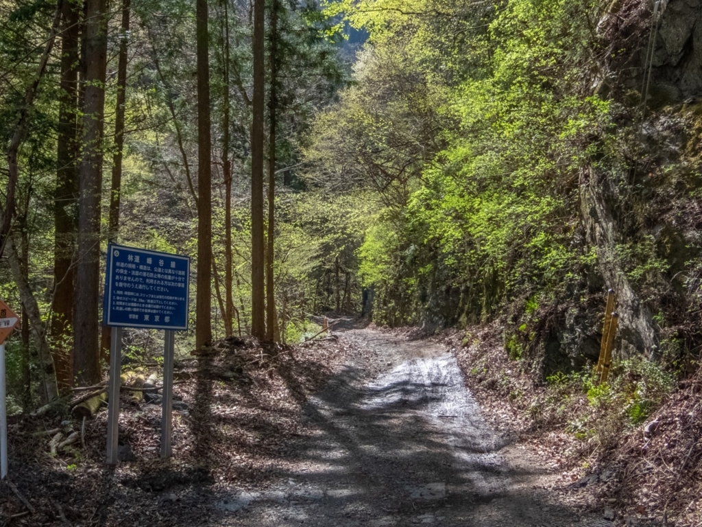 f:id:saetta0404:20180410194219j:plain