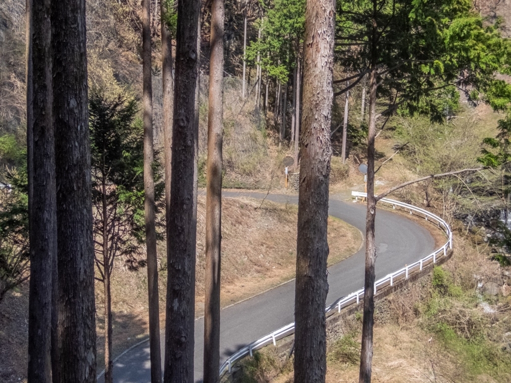 f:id:saetta0404:20180410194322j:plain