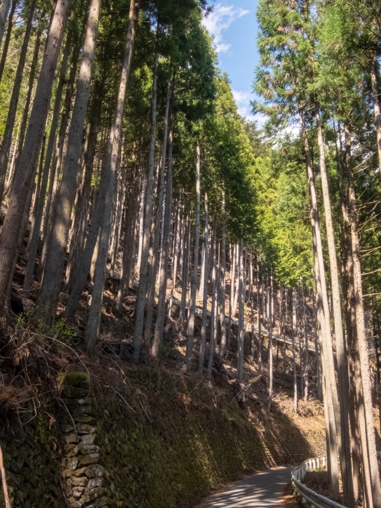 f:id:saetta0404:20180410194346j:plain