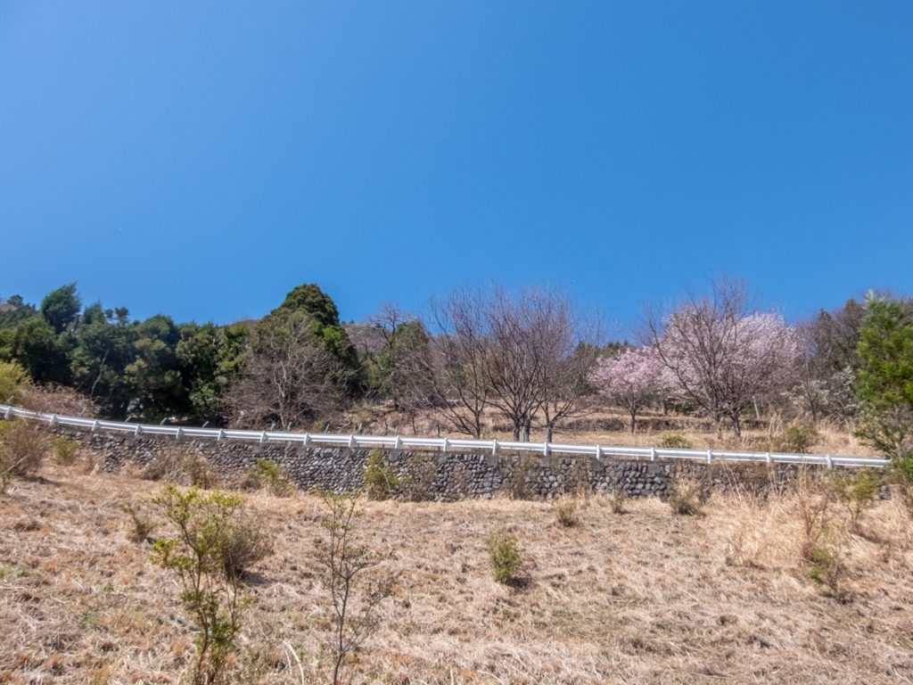 f:id:saetta0404:20180410194451j:plain