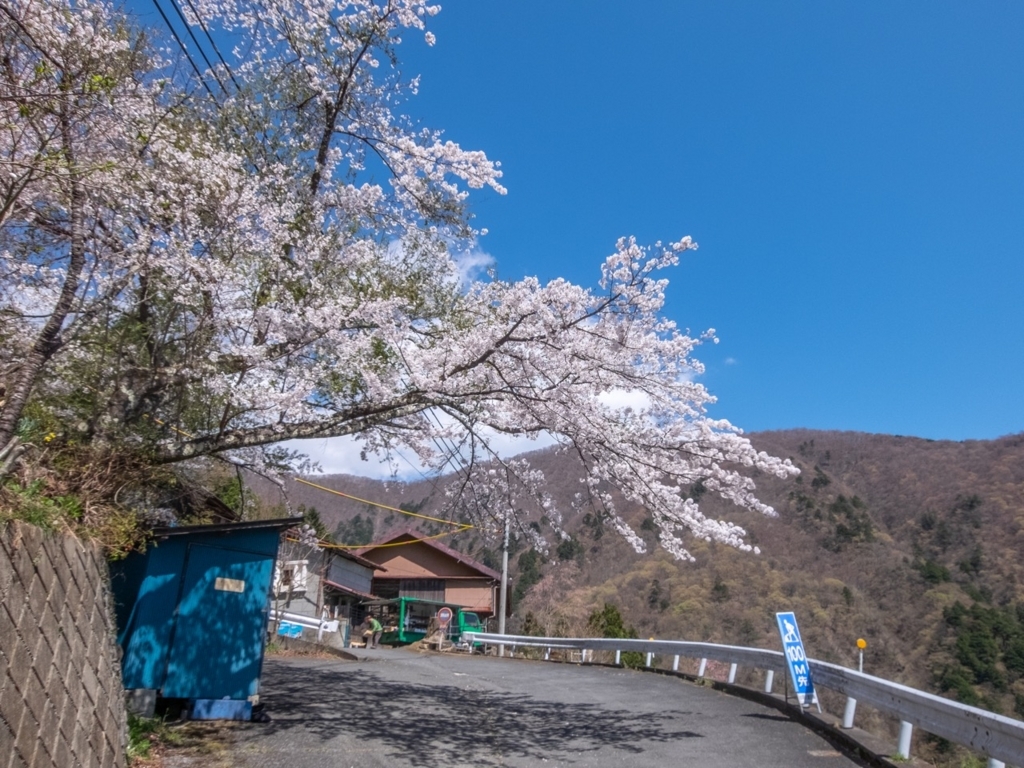 f:id:saetta0404:20180410194523j:plain