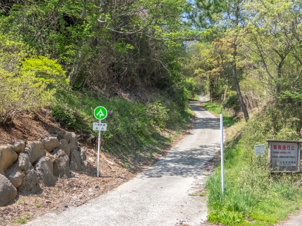 f:id:saetta0404:20180424221835j:plain