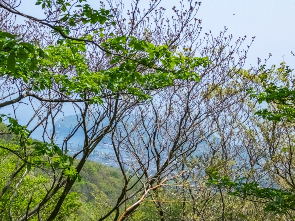 f:id:saetta0404:20180424222022j:plain