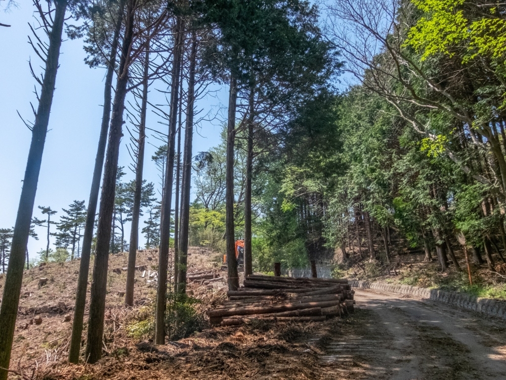 f:id:saetta0404:20180424222051j:plain