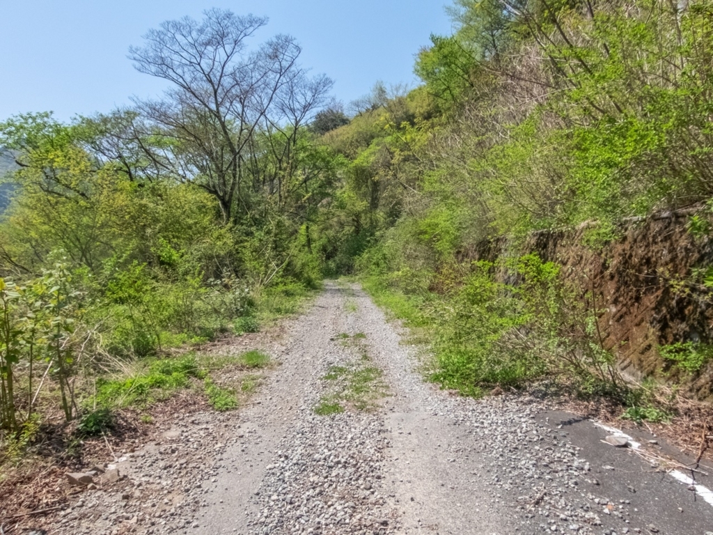 f:id:saetta0404:20180424222152j:plain